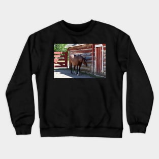 Horse in the shade Crewneck Sweatshirt